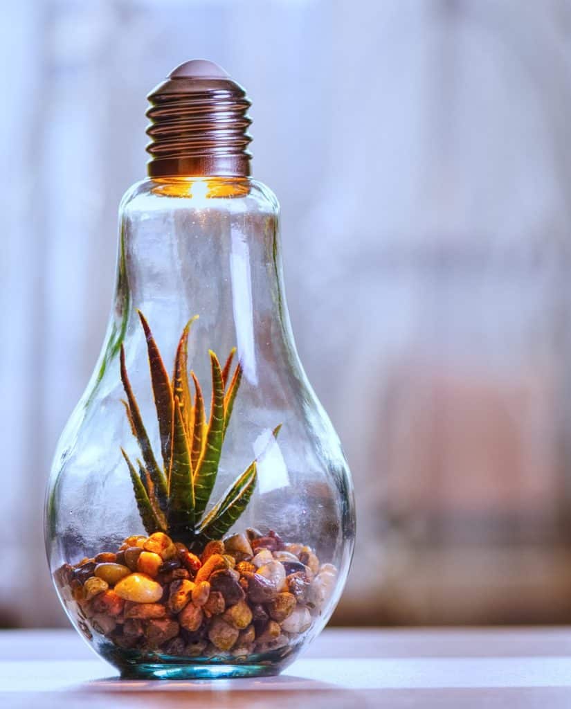 Environmental Sustainability corporate sociAL reponsibility